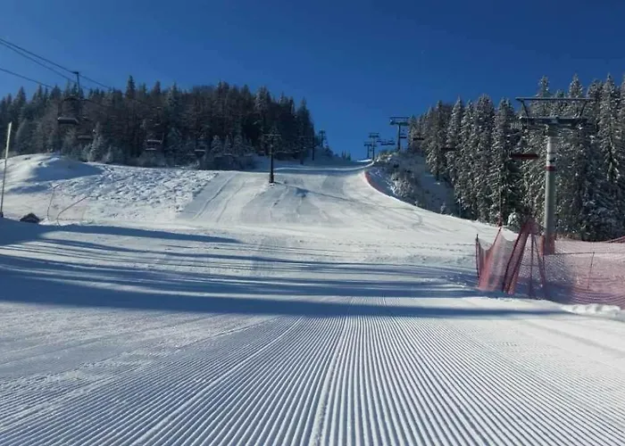 Apartment 101 - Aparthotel Vucko Jahorina Private Host