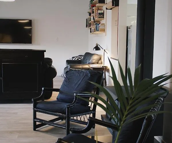 Hugo & Carters Backpackers & Motel Tauranga